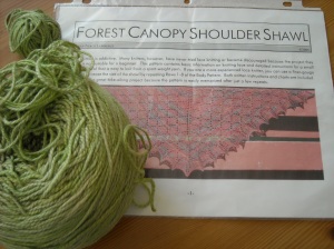 Project #3 Leafy Canopy Shawl in Handmaiden Tussah Silk